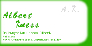 albert kness business card